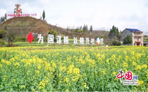 湖南泸溪：油菜花开春意浓 远近游客“打卡”乐(图1)