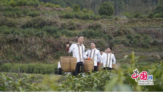 新葡萄娱乐下载湖南古丈：茶旅融合茶飘香 绘就振兴新画卷(图3)