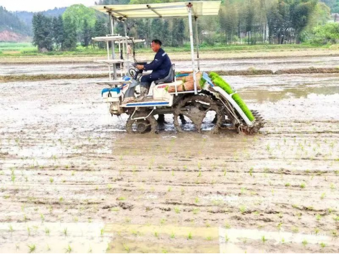 @ID(MRS59MZQXRP~JEWZ7ZL.png @ID(MRS59MZQXRP~JEWZ7ZL.png