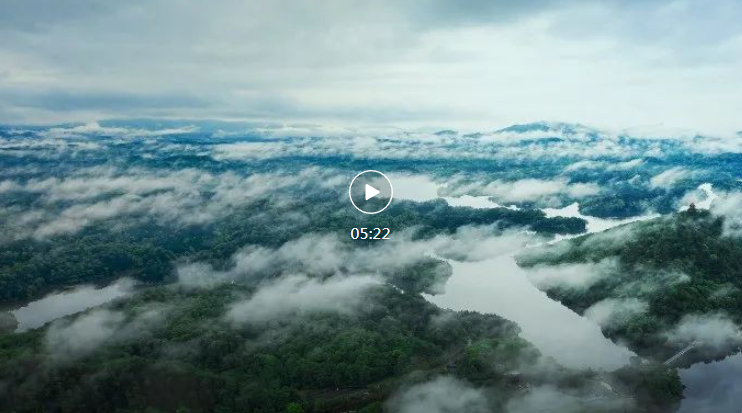 QQ_1746861300200.png QQ_1746861300200.png