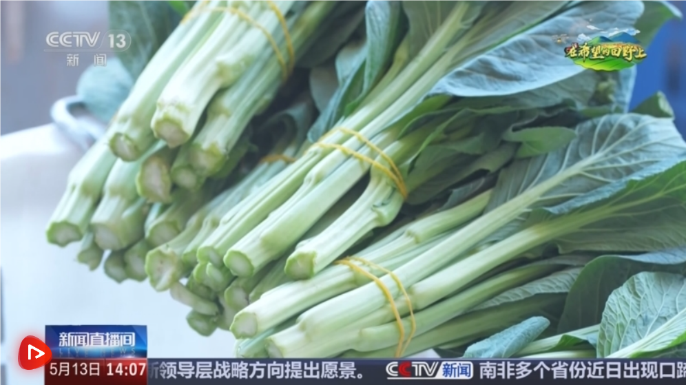 QQ_1747188133101.png QQ_1747188133101.png