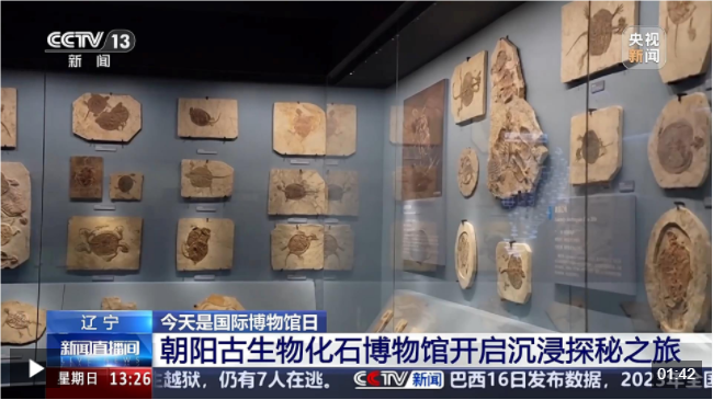 QQ_1747619397983.png QQ_1747619397983.png