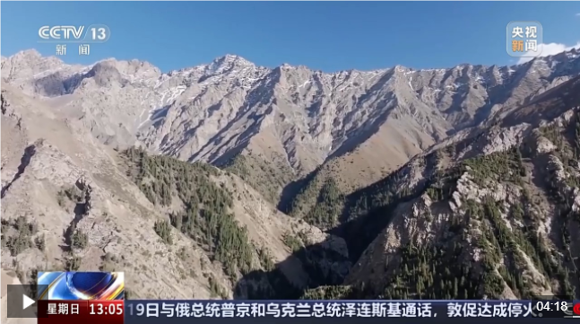 QQ_1747619931892.png