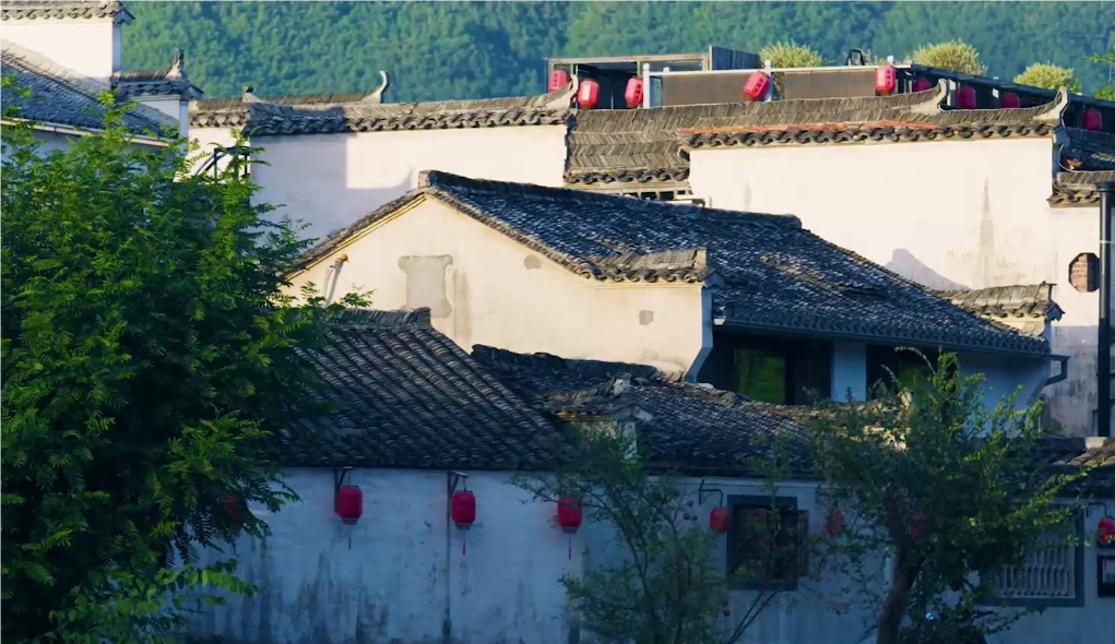 QQ_1749113266776.png QQ_1749113266776.png