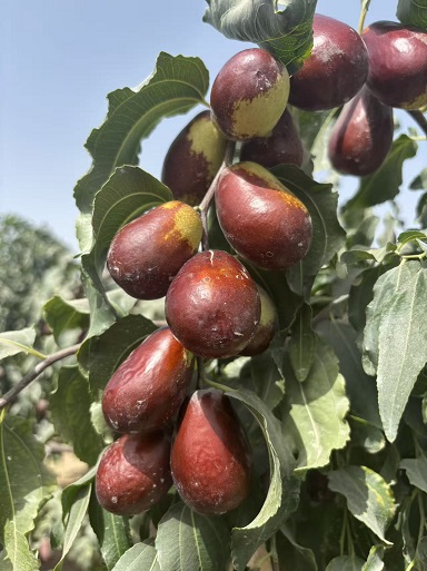 118078953_34f42ab6-a05a-43c9-9b9e-62376df5189a.jpg 118078953_34f42ab6-a05a-43c9-9b9e-62376df5189a.jpg