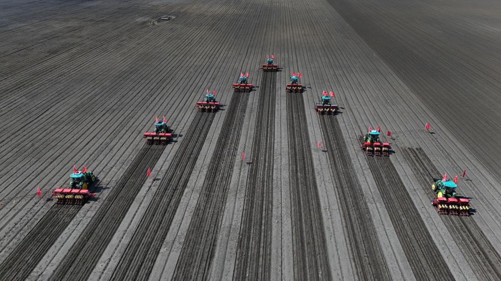 守好粮食生产的命根子！我国拟立法加强耕地保护和质量提升