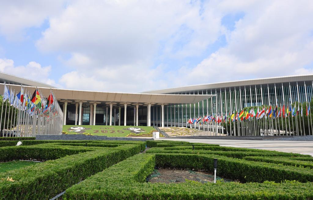 人工智能驱动 绿色低碳领航——第八届进博会将成为观察全球产业升级新窗口