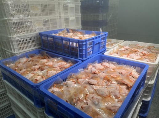 掌小鸭真冰鲜螺蛳粉重磅上市，“真鲜”品质升级螺蛳粉消费体验