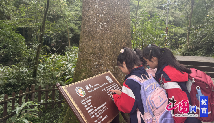 峨眉山峨山小学:徒步乐研学实践促成长(图2)