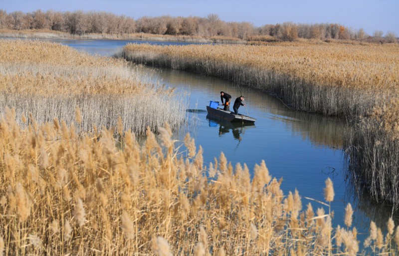 塔克拉玛干变富地：一年前的“死亡之海”，如今成为“财富绿洲”