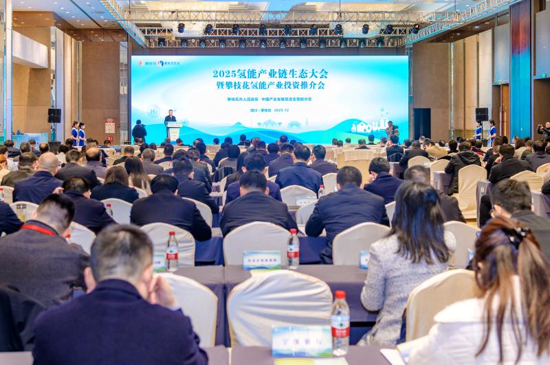 九游会国际四川氢能产业厚积薄发启新程——2025氢能产业链生态大会在攀枝花召开(图2)