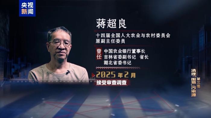 蒋超良大量贪腐细节披露：蒋家保姆买房，商人送上60万