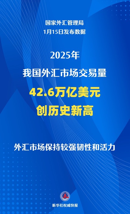 多个新高！2025年外汇市场保持韧性与活力