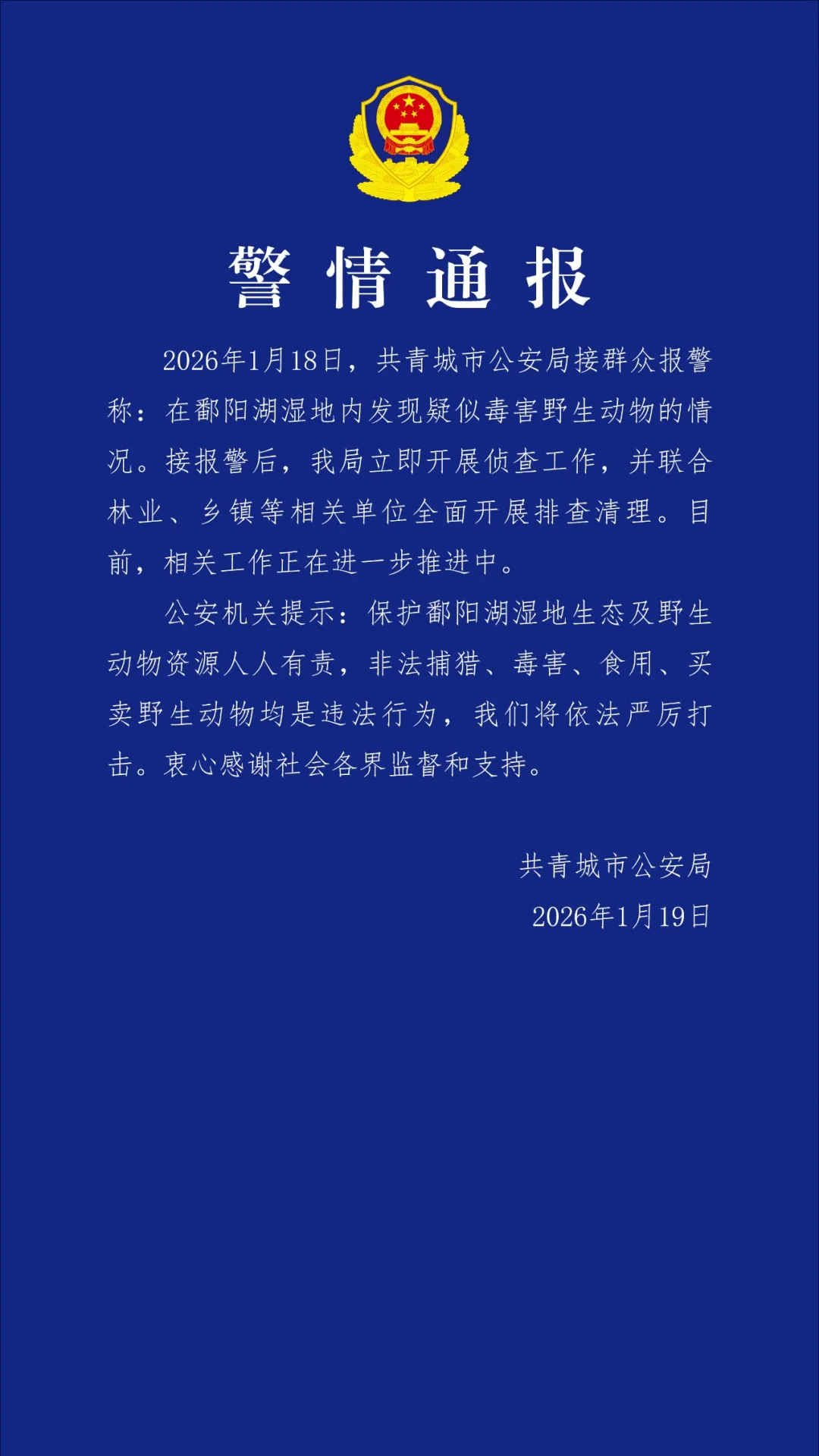 鄱阳湖湿地内有野生动物疑似遭毒害 江西警方通报