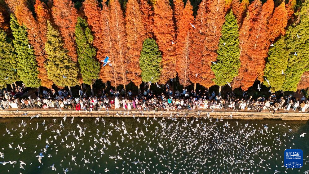 PG电子影像回眸“十四五”——生态优先绿色发展(图2)