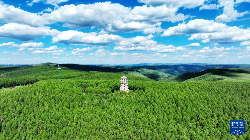 PG电子影像回眸“十四五”——生态优先绿色发展(图1)