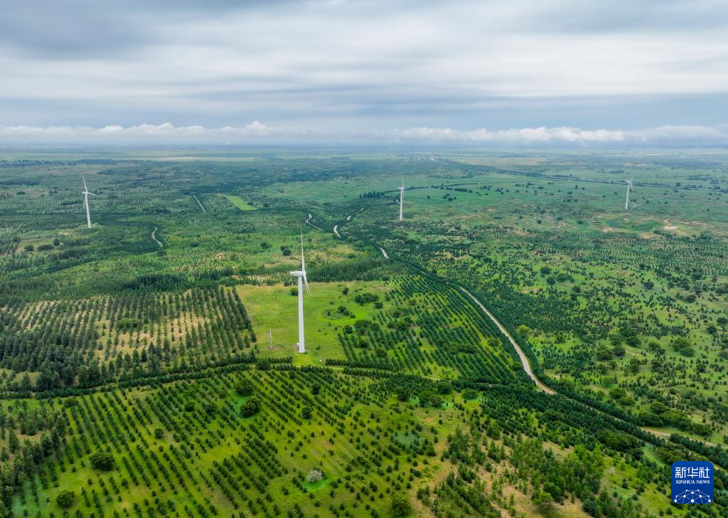 PG电子影像回眸“十四五”——生态优先绿色发展(图7)