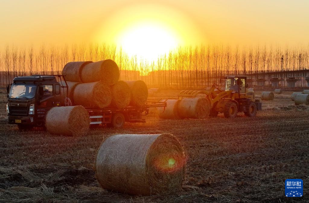 PG电子影像回眸“十四五”——生态优先绿色发展(图17)