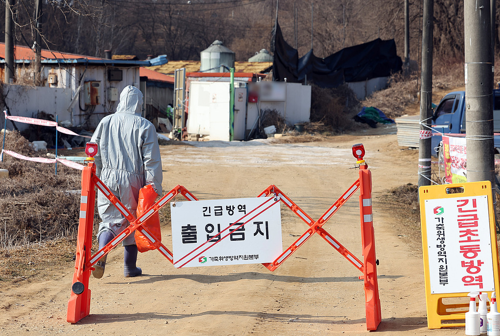 三大畜禽传染病同时扩散 推高韩国禽畜产品价格