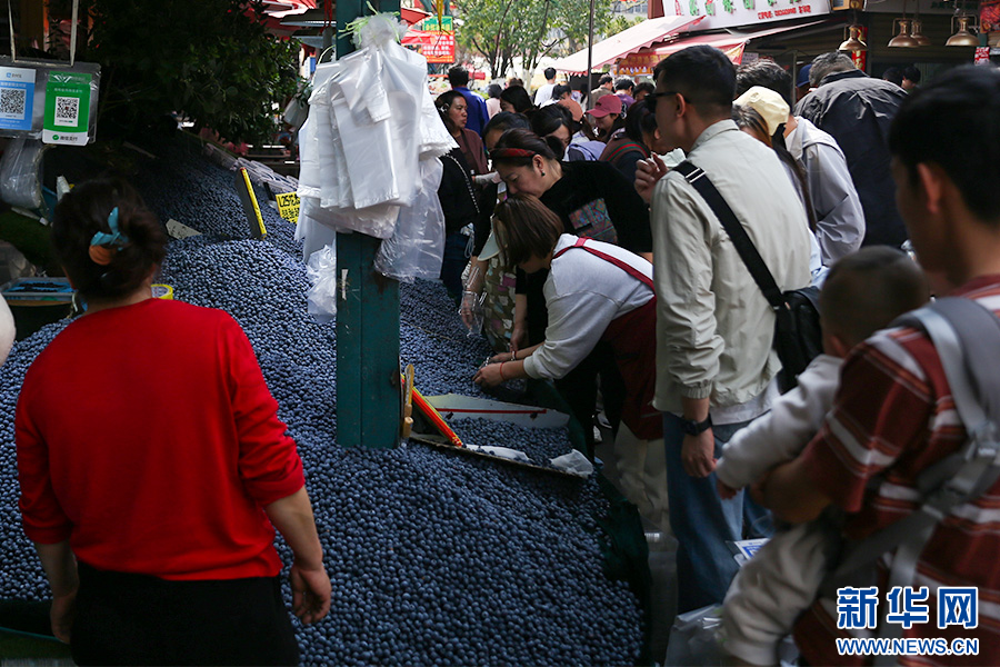 云南蓝莓实力出圈高原“蓝”海里的共富密码(图1)