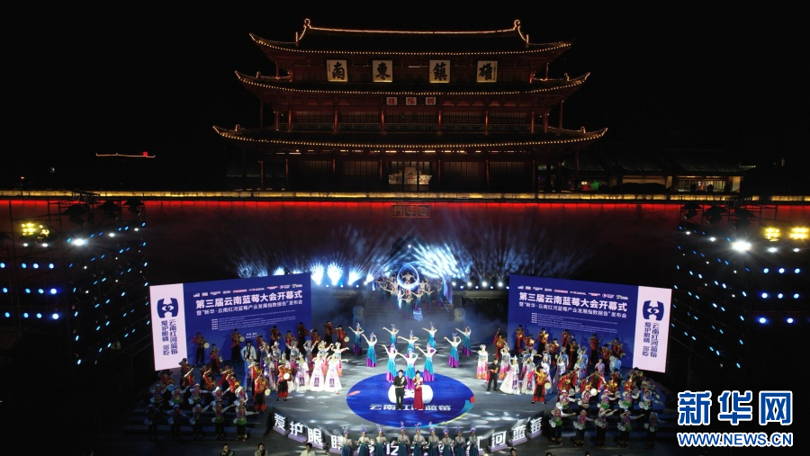 云南蓝莓实力出圈高原“蓝”海里的共富密码(图4)