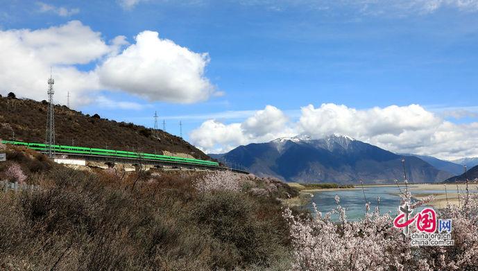 1775196241872.jpg 1775196241872.jpg