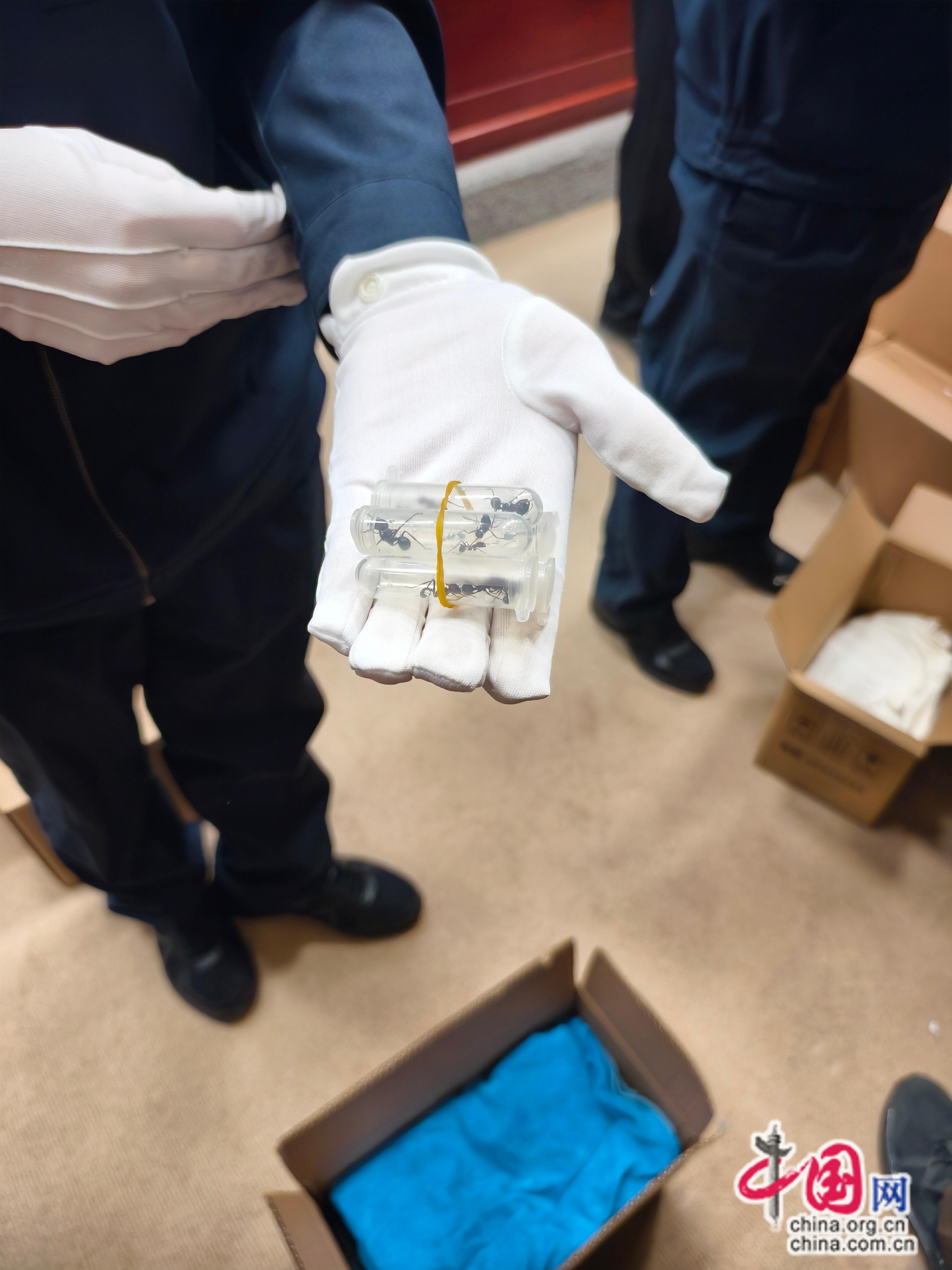 c78cc90e98b7c2f5f881c93e167f0bb3.jpg c78cc90e98b7c2f5f881c93e167f0bb3.jpg