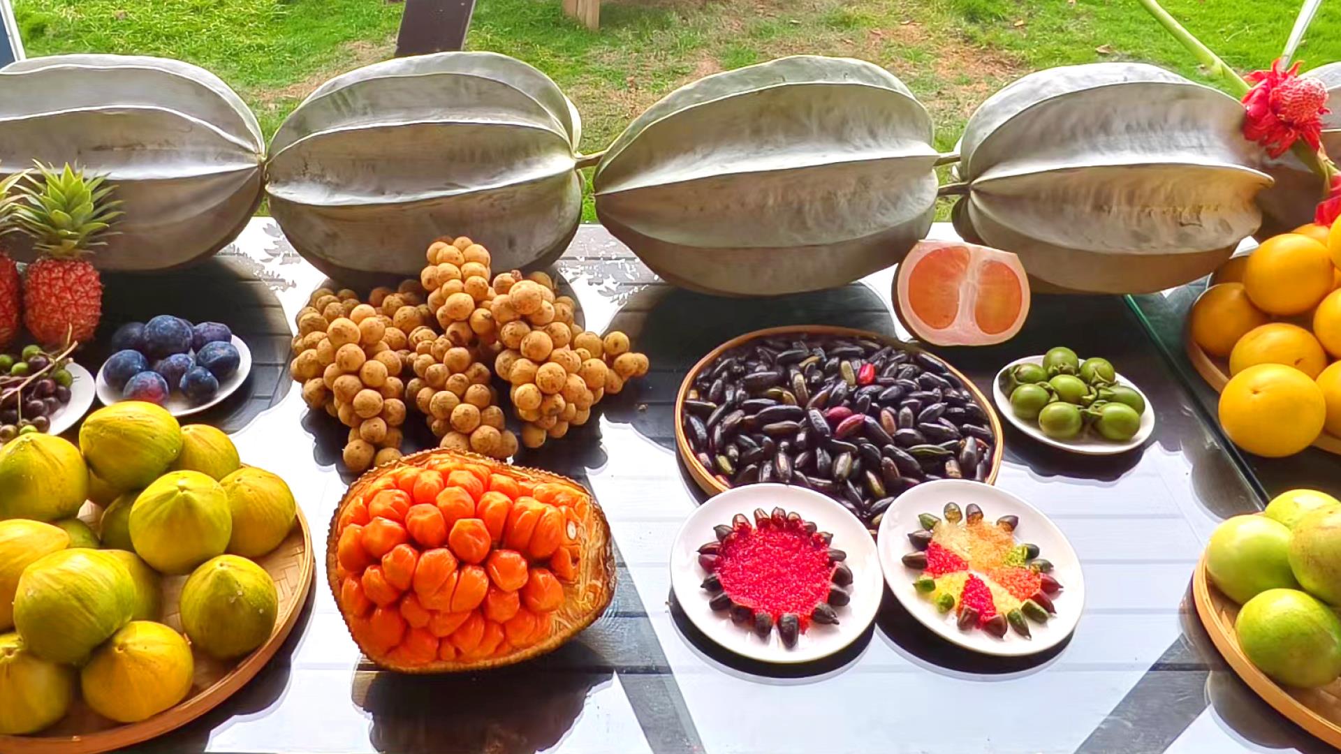 开局之年看中国丨开放自贸港海南新活力(图3)