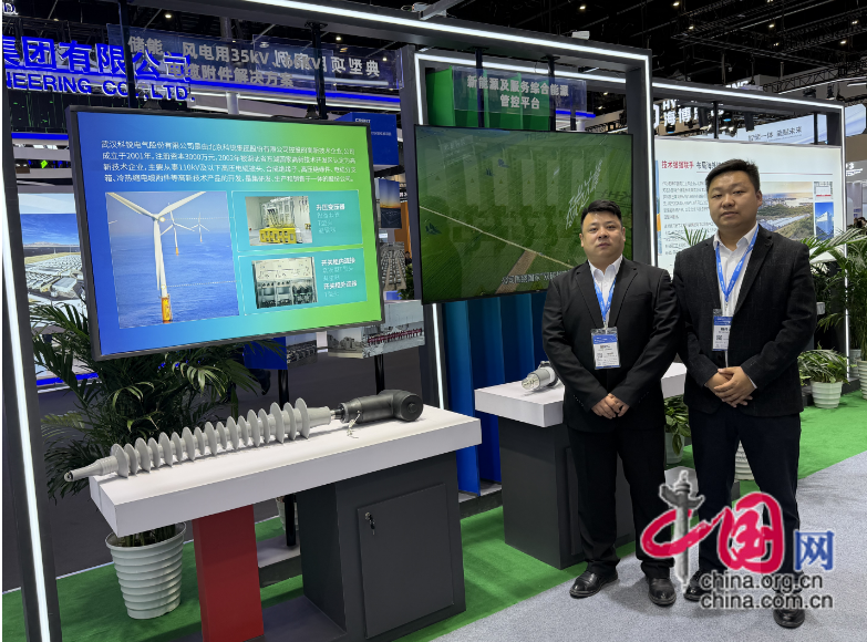 硬核技术与生态协同新型组串式储能变流升压一体机发布(图6)