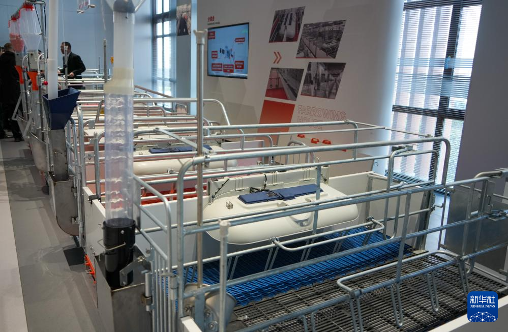 以“挑山工”姿态“走在前、挑大梁”——山东绿色低碳高质量发展迈出坚实步伐(图6)