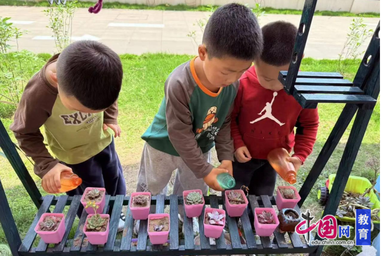 萌娃探自然多肉伴成长乐山机关幼儿园开展自然探究课程活动(图2)