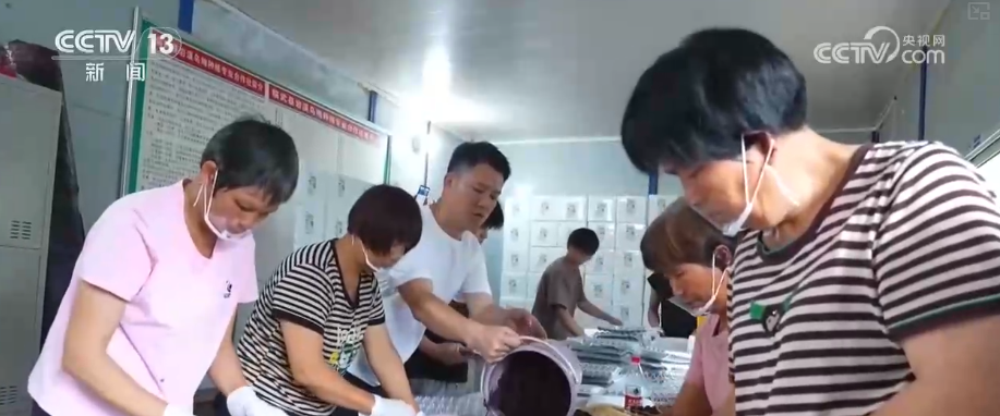 有“量”有“质”又智”多维度透视前5个月物流运行“成绩单”(图2)
