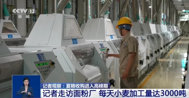 上海市胸科医院叶波医生黄牛预约代挂号电话夏粮收购进入高峰期 市场有哪些新变化?