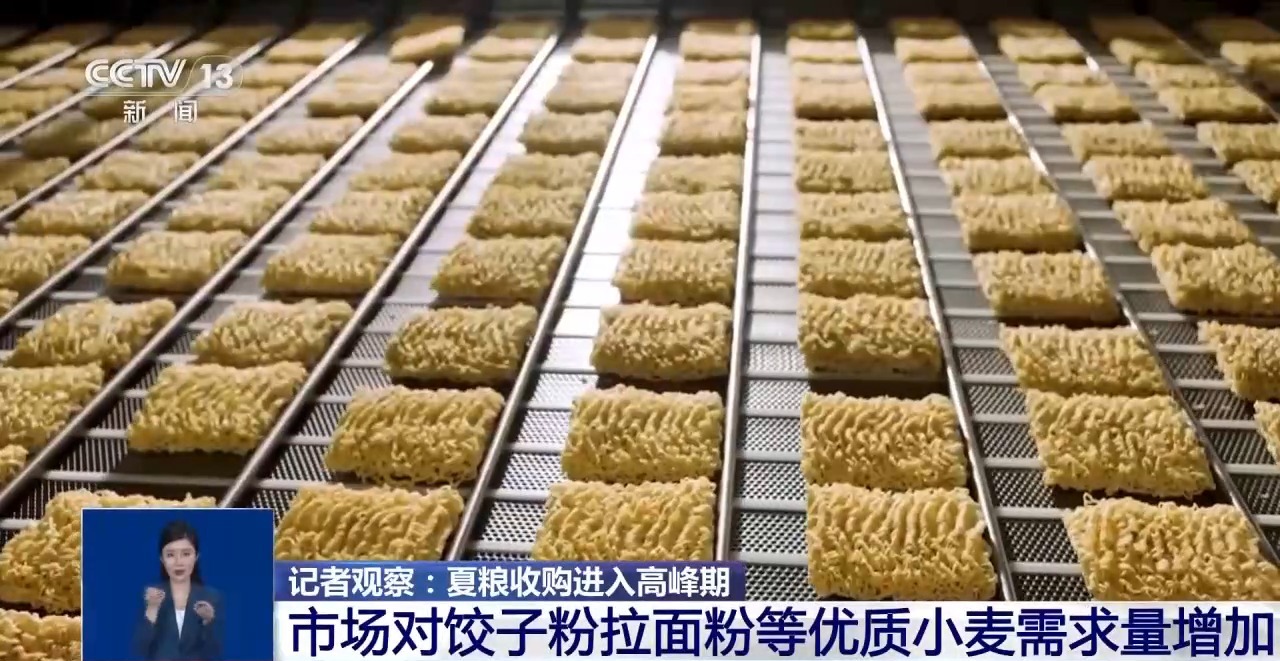 上海市胸科医院叶波医生黄牛预约代挂号电话夏粮收购进入高峰期 市场有哪些新变化?