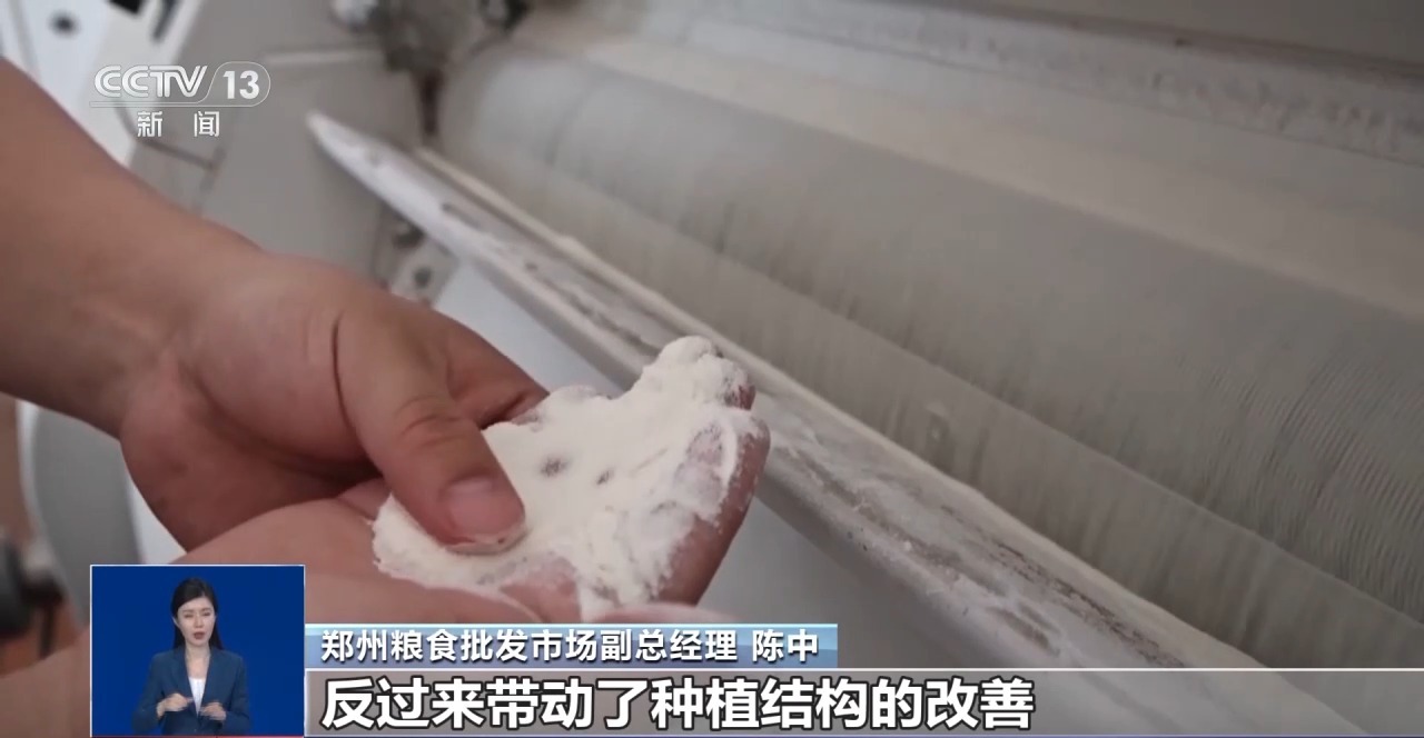 上海市胸科医院叶波医生黄牛预约代挂号电话夏粮收购进入高峰期 市场有哪些新变化?
