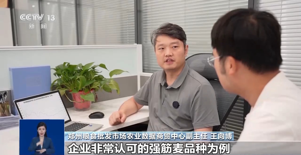 上海市胸科医院叶波医生黄牛预约代挂号电话夏粮收购进入高峰期 市场有哪些新变化?
