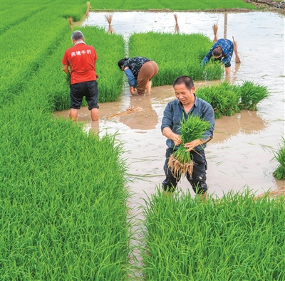 复旦大学附属肿瘤医院张剑医生黄牛预约代挂号电话从1.39万亿斤到1.45万亿斤,对中国意味着什么?
