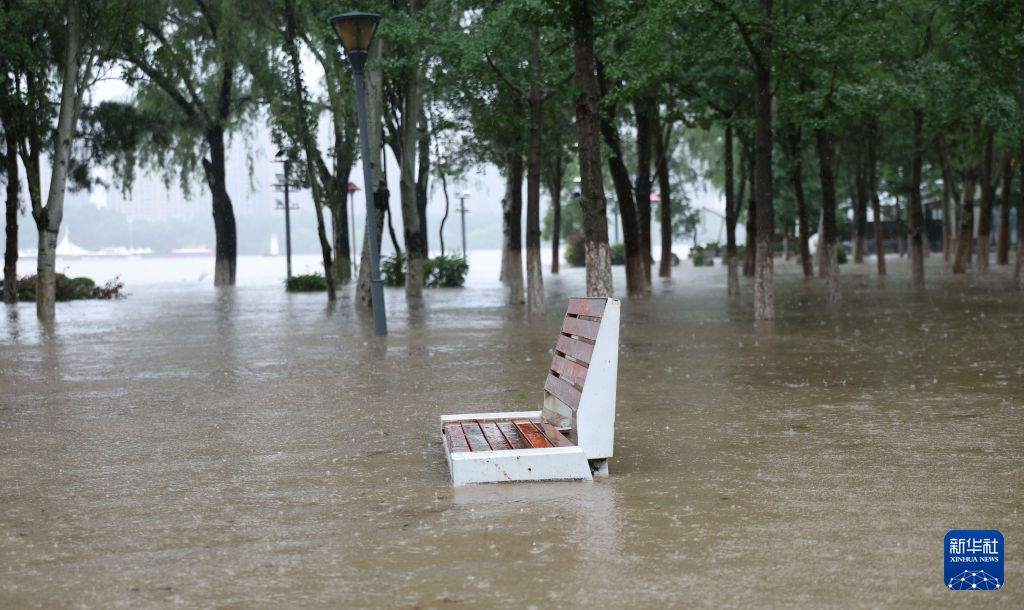 空军特色医学中心陈瑞萍医生黄牛预约代挂号电话辽宁浑河发生2026年第1号洪水