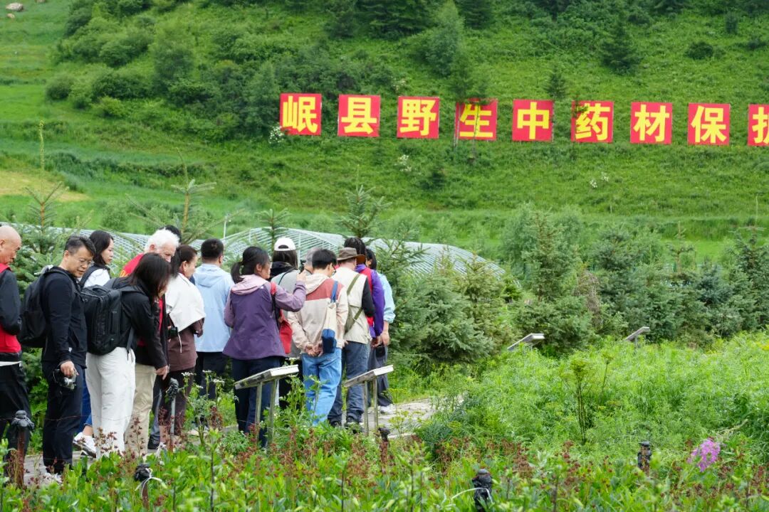 重庆市医院刘洪医生黄牛预约代挂号电话长征日记|千年药乡出了一位“双语”新农人
