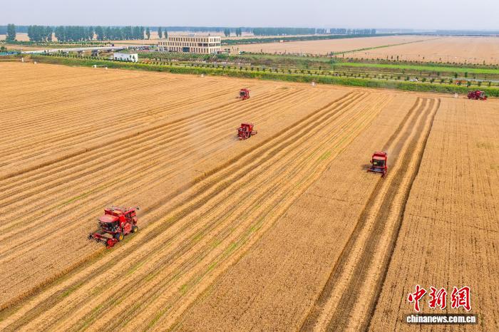 江苏省肿瘤医院陆欣欣医生黄牛预约代挂号电话年中盘点:中国粮食生产经受极端天气考验