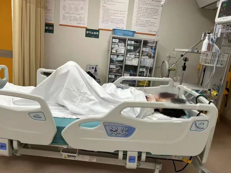 中山大学中山眼科中心林小铭医生黄牛预约代挂号电话女子举报虐猫遭“开盒”后轻生,此前已多次报警