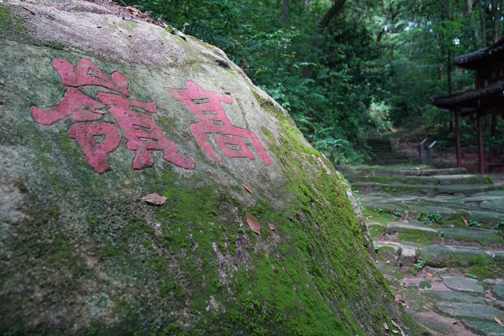 
北大人民医院黄牛号贩子票贩子代网上预约代挂号电话心相近丨一瓷跨千年，万里尚为邻