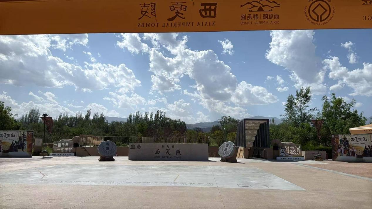 E法同行法润塞上丨山河揽彩铺新卷塞上法治护网兴(图3)