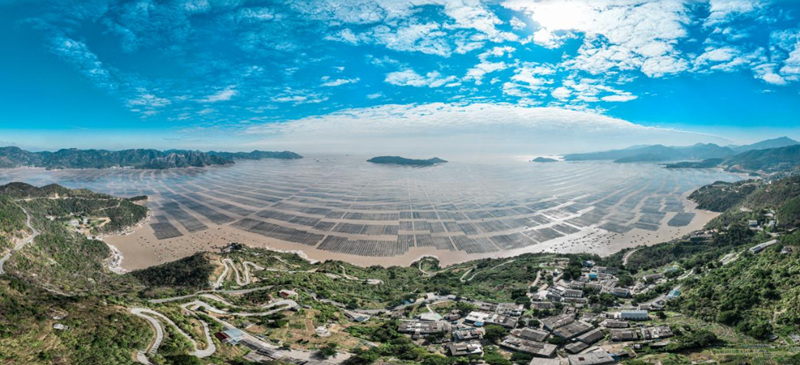 
南京市第一医院王林农黄牛挂号电话开局之年看中国丨浙江苍南：一杆激起三重浪