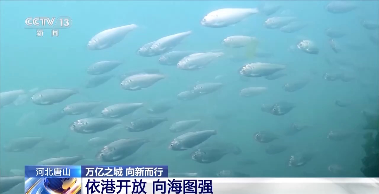 
重庆医科大学附属第二医院李工博医生黄牛预约代挂号电话万亿GDP新城崛起背后 有一群与它同龄的“震生”