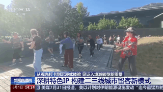 海外游客来了再来!城市见证入境游转型新图景(图17)