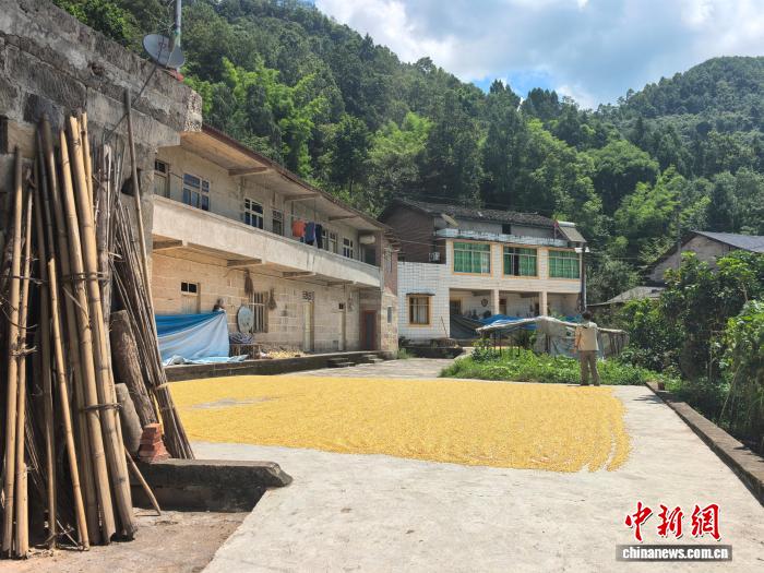 
复旦大学附属妇产医院潘明明医生黄牛预约代挂号电话重庆巴南成功预警处置一危岩崩塌险情 避险转移11人