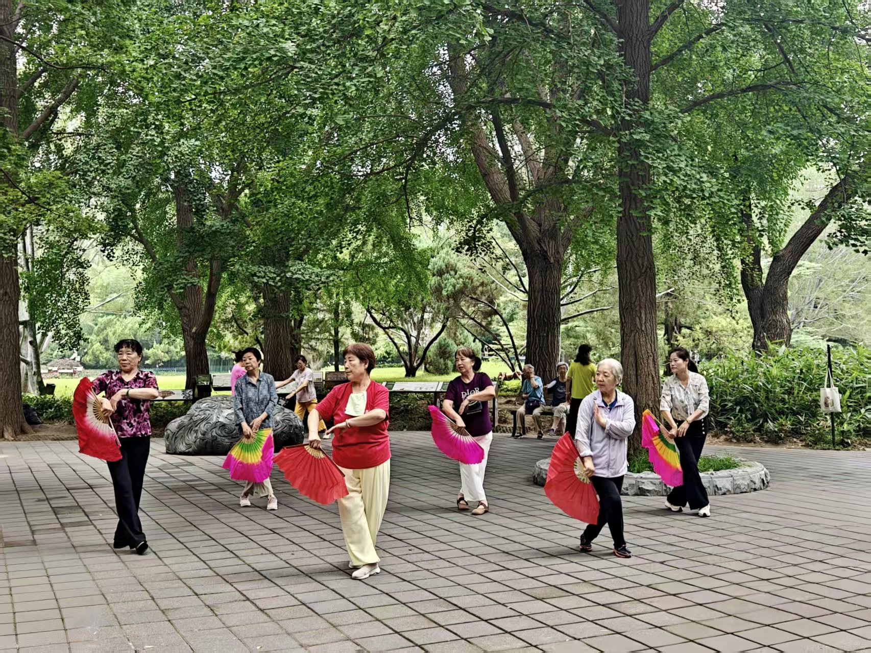 复旦大学附属肿瘤医院张倜医生黄牛预约代挂号电话竹影汇欢歌,老牌紫竹院何以成为大众文艺新地标
