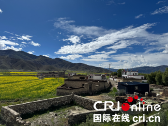 南方医科大学南方医院刘思德张亚厉候金林周元平刘滢冯传波吕英黄牛挂号电话我们的家园丨乡贤扎根乡土 共筑幸福家园