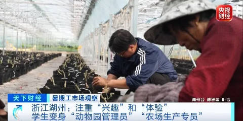 
中国中医科学院西苑医院洪霞刘红梅郭德海张翠珍黄牛挂号电话令人“心动”的offer，大学生扎堆当景区NPC！